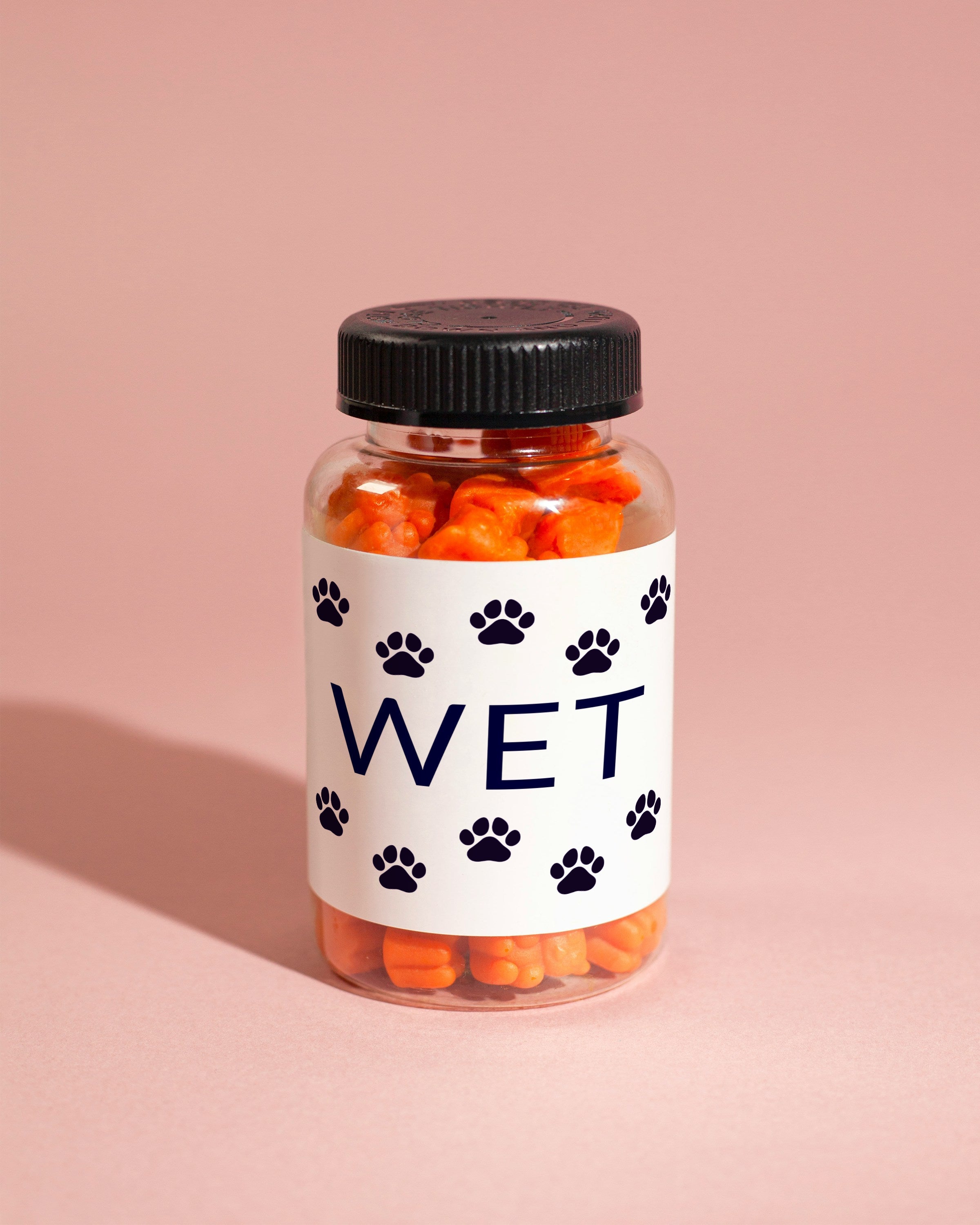 Weterynaria