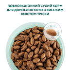 OPTIMEAL Super Premium sucha karma dla kotów - dorsz 700 g