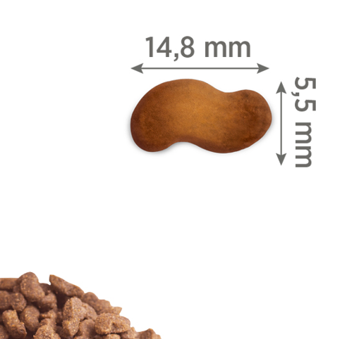 CLUB 4 PAWS SUCHA KARMA DLA DOROSŁYCH PSÓW MAŁYCH RAS JAGNIĘCINA I RYŻ 2kg