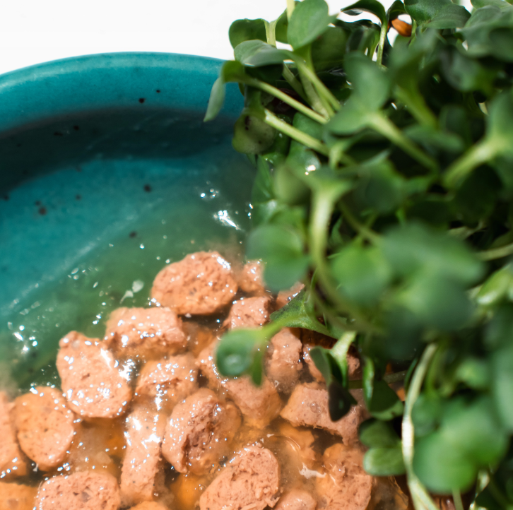 Mokra karma HALF&HALF dla kotów sterylizowanych z indykiem 100g